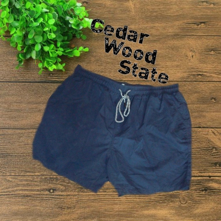Cedar Wood State Шорты мужские пляжные/повседневные синие 2XL, photo number 2