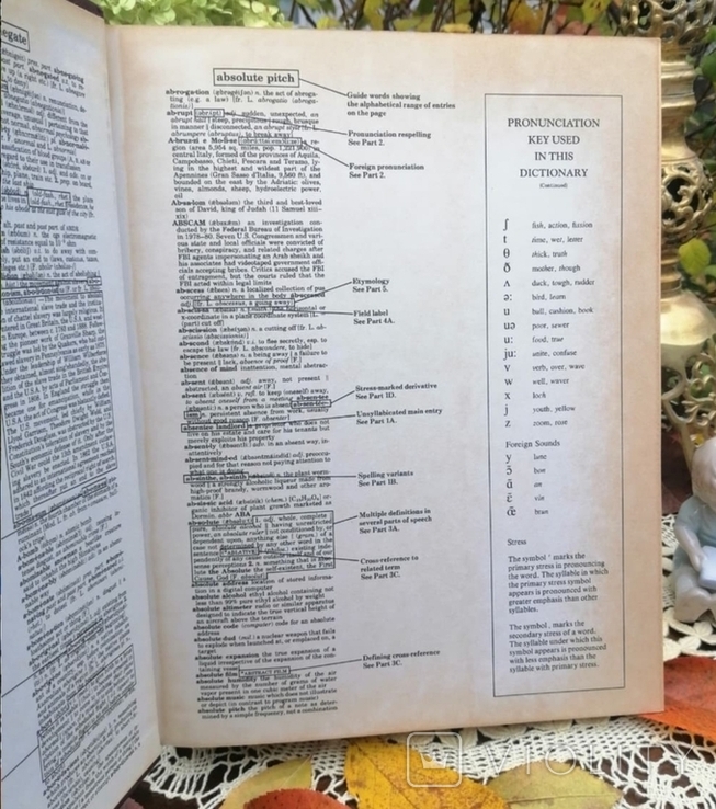 Nowy słownik języka angielskiego i tezaurus. W języku angielskim, numer zdjęcia 4