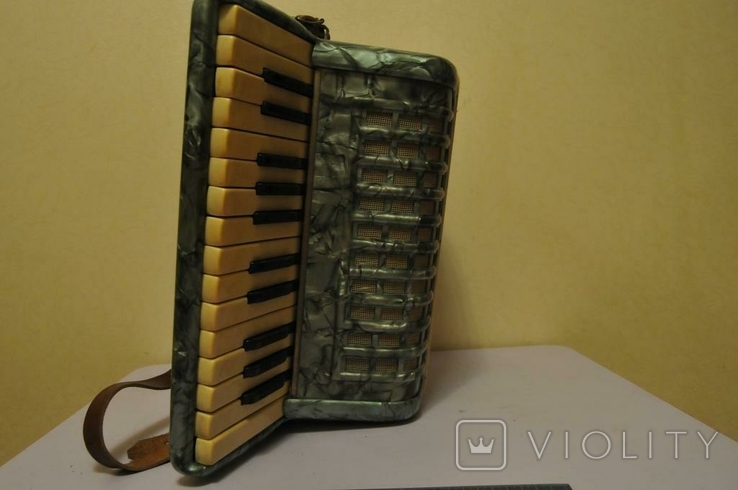 Accordion, photo number 5