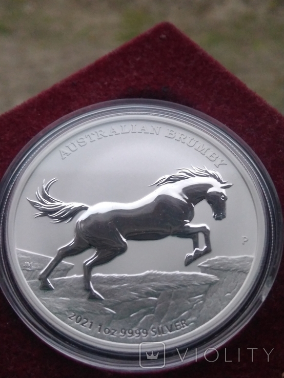 Австралия 1 доллар 2021 г. Лошадь Брамби Брумби (серебро 999 пробы, 1 унция) Конь, photo number 2