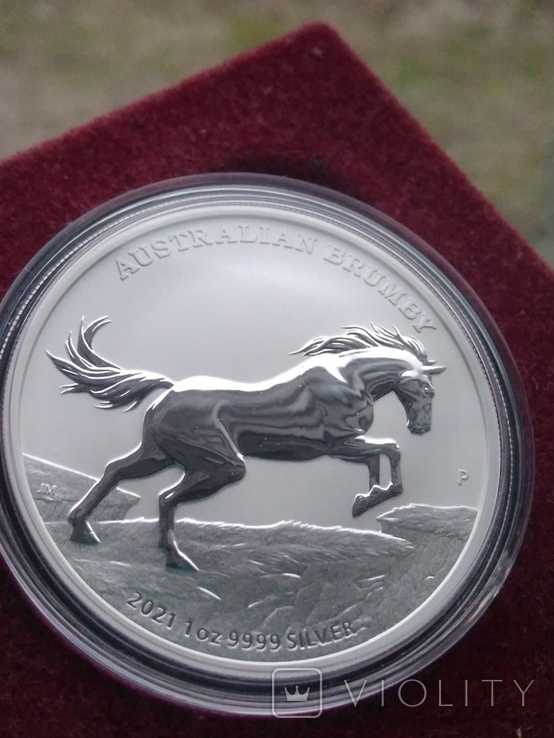 Австралия 1 доллар 2021 г. Лошадь Брамби Брумби (серебро 999 пробы, 1 унция) Конь, photo number 3