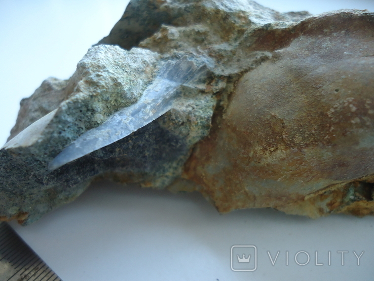 A fossilized shark tooth in the rock., photo number 2