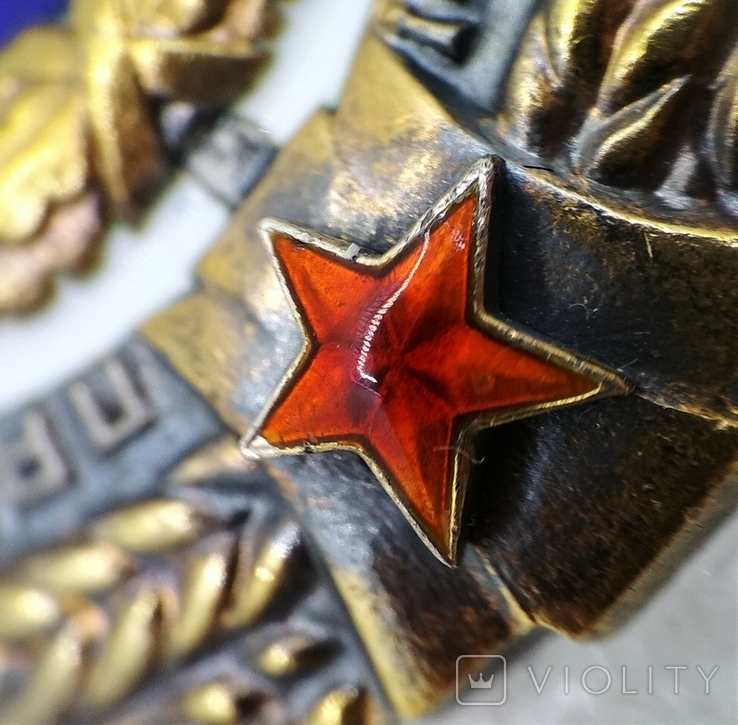 Орден Трудового Красного Знамени Большой Овал, фото №7