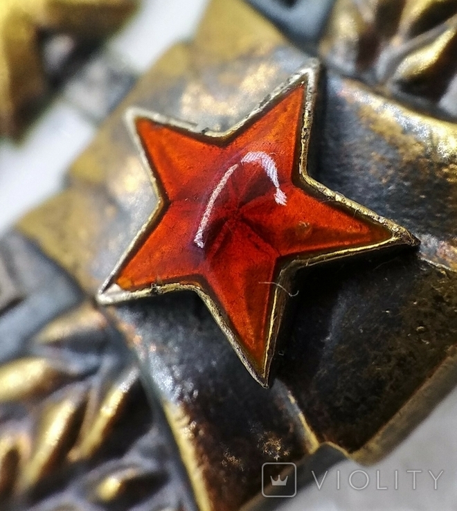 Орден Трудового Красного Знамени Большой Овал, фото №8