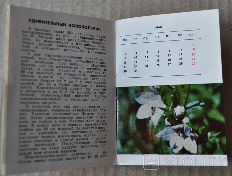 Календарь цветовода 1988г, фото №4