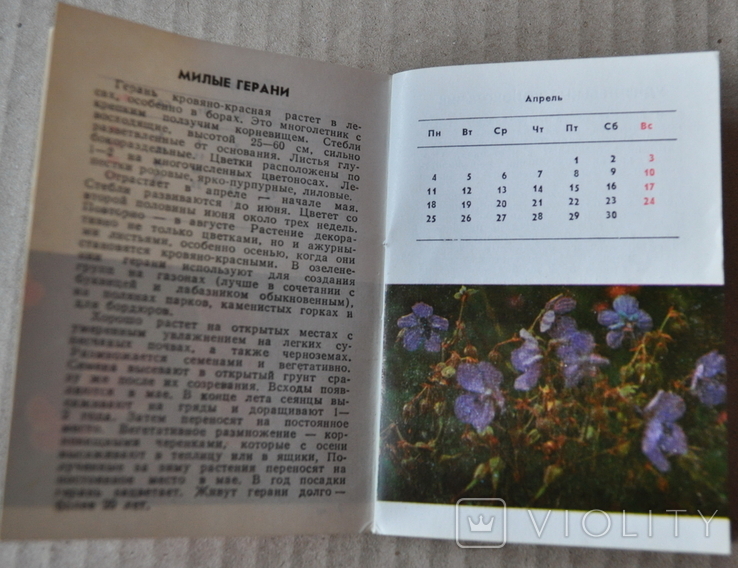 Календарь цветовода 1988г, фото №5