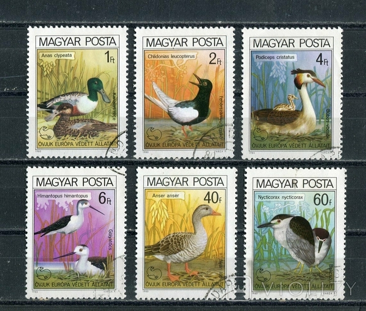 Венгрия, птицы. 1980 г. (полная серия)