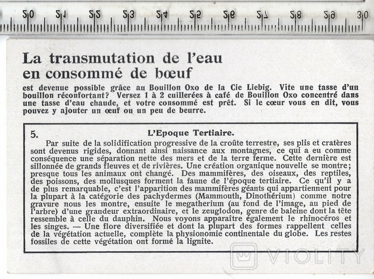 Liebig, карточка №5 серия "Геологические эры". 1929 год.(3), фото №3