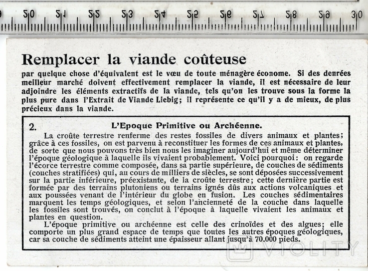 Liebig, карточка №2 серия "Геологические эры". 1929 год.(3), фото №3