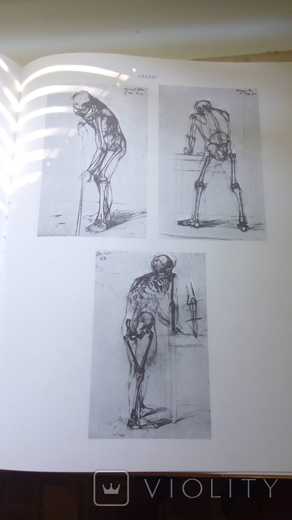 Анатомия для художника книга не частая, фото №5