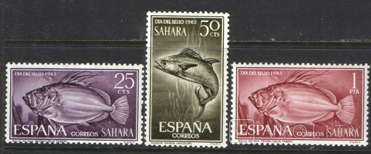 Испанские колонии Сахара . Фауна . Рыбы Полная серия .
