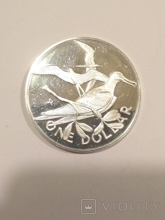 Британские Виргинские острова 1 доллар 1973 года серебро 25,7 грамм, 925 проба, фото №2
