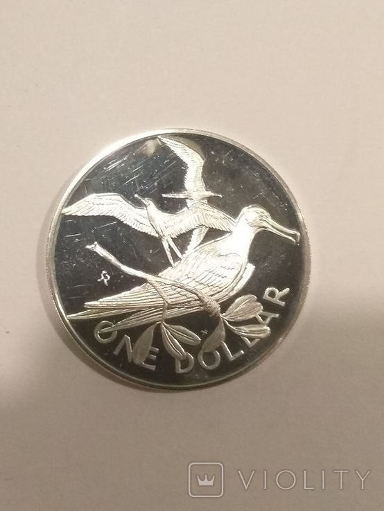 Британские Виргинские острова 1 доллар 1973 года серебро 25,7 грамм, 925 проба, фото №3