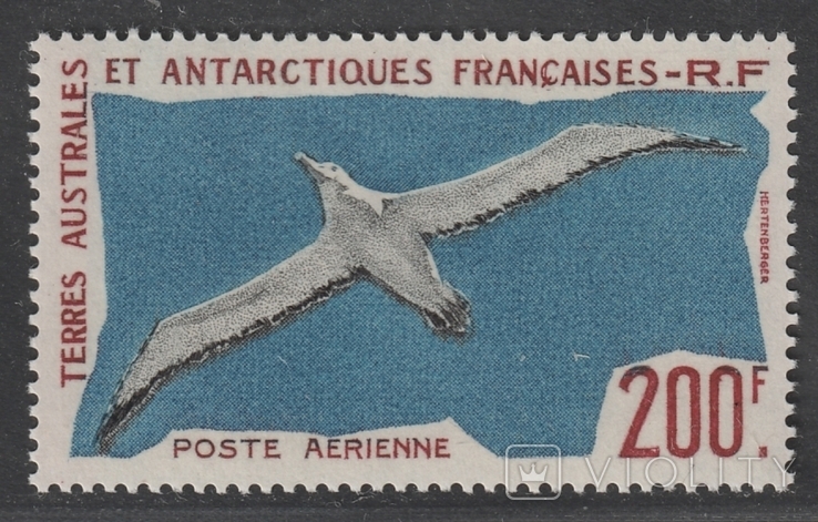 Фр. Антарктические территории (TAAF) - Авиа 1959 Yvert 4 **, фото №2