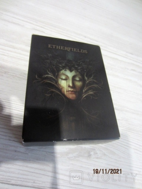 Etherfields, photo number 4