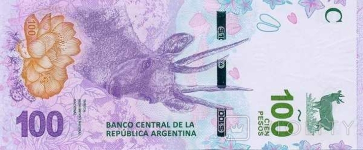 Аргентина 100 песо 2018 г, фото №2