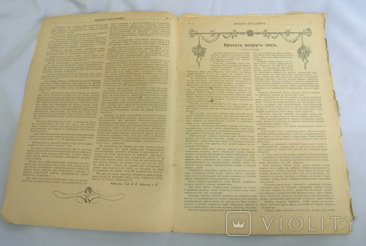 Журнал для домогосподарок 1916 No 17 (Журнал для домогосподарок), фото №5