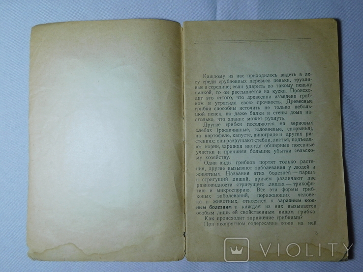 Грибковые заболевания и борьба с ними. Москва 1952, фото №3