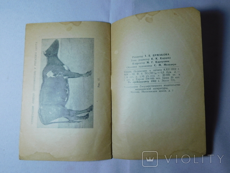 Грибковые заболевания и борьба с ними. Москва 1952, фото №9