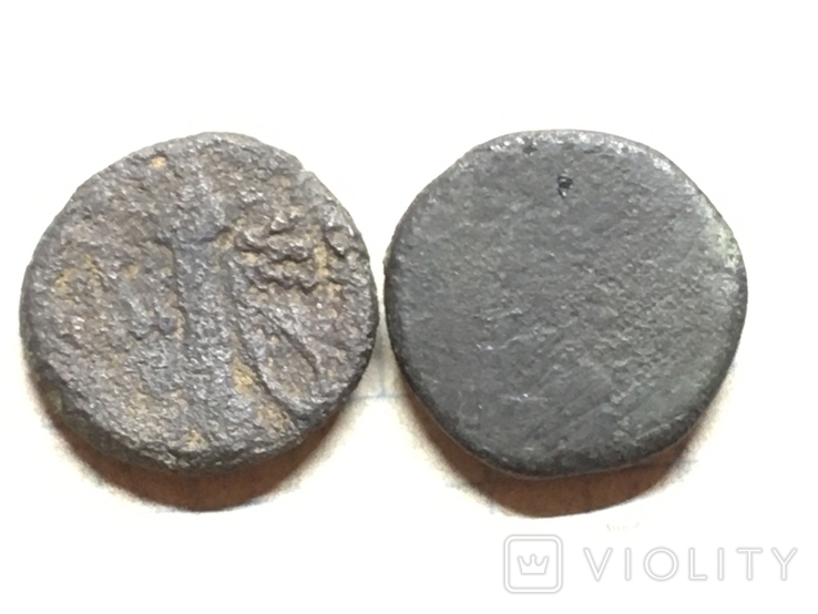 Античные монеты, фото №5