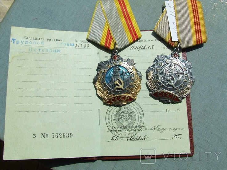 Орден ТС - 2 степени № 31 777 и 3 степени № 162 645 на Сершенко Нина С. плюс доки .