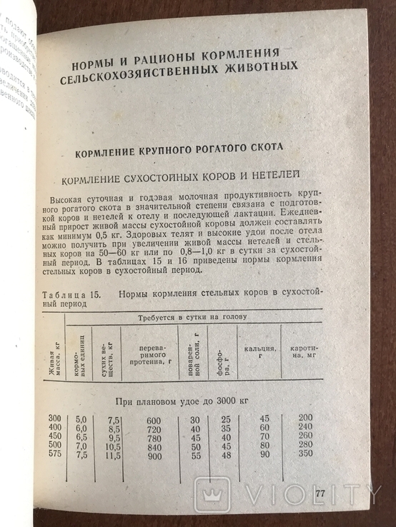 1982 Справочник КРС Животноводство Кормление, фото №6