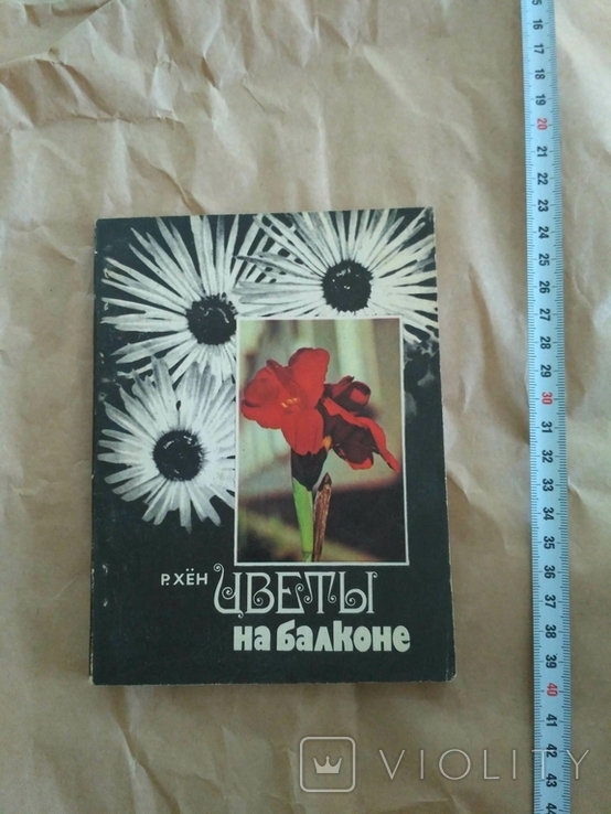 Цветы на балконе Р. Хен