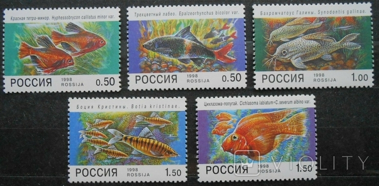 1998 г. Россия Фауна Аквариумные рыбы (**)