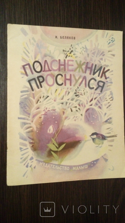 Подснежник проснулся. Детская книга