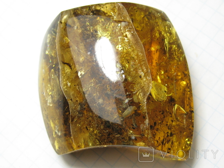 Amber natural inclusion 34.2 grams. Insect inside., photo number 4