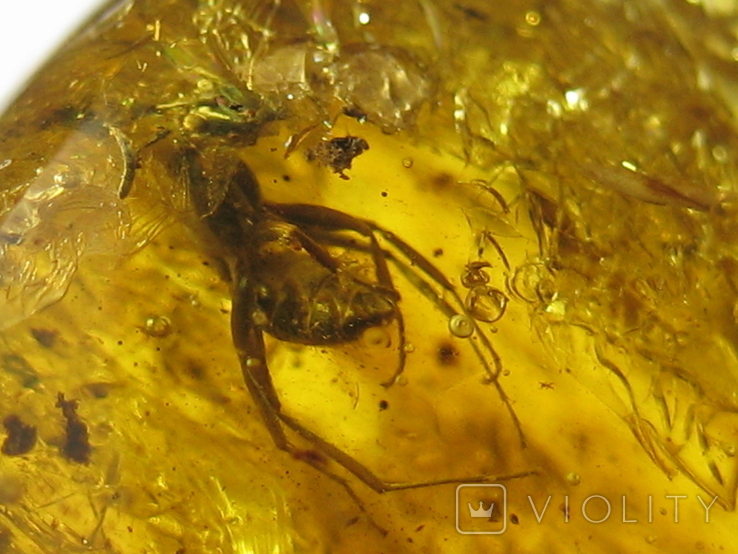 Amber natural inclusion 34.2 grams. Insect inside., photo number 8