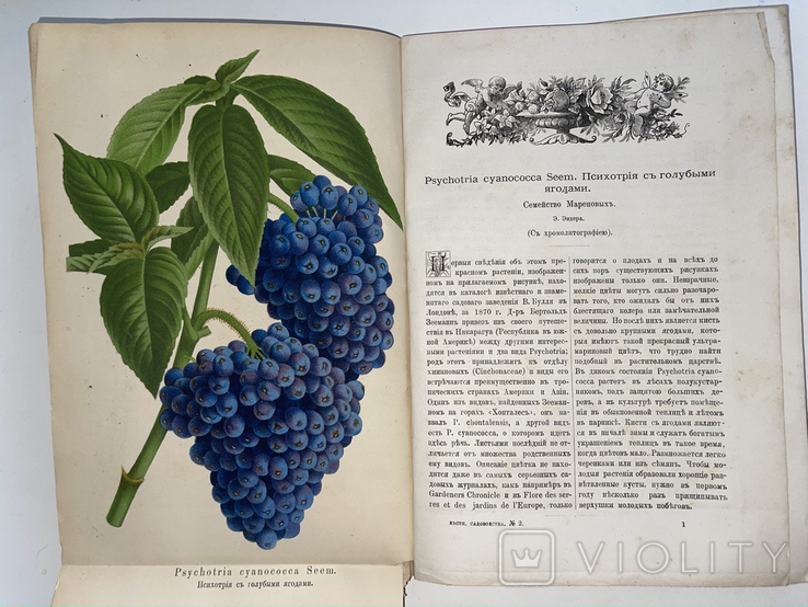 1883 Садоводство, плодоводство и огородничество