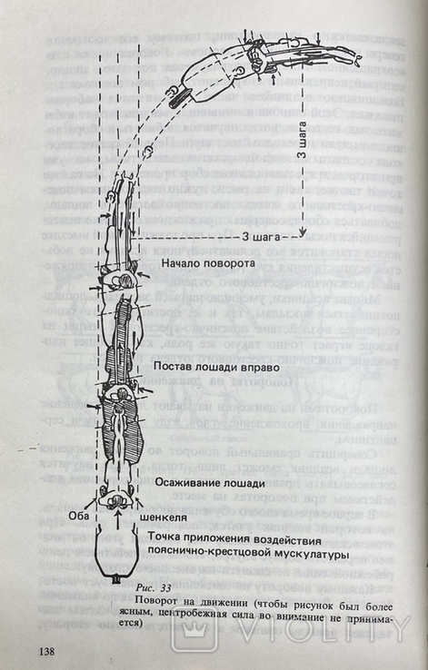 1980 Мюзелер Вильгельм, фон Цигнер К. А. Учебник верховой езды, фото №8