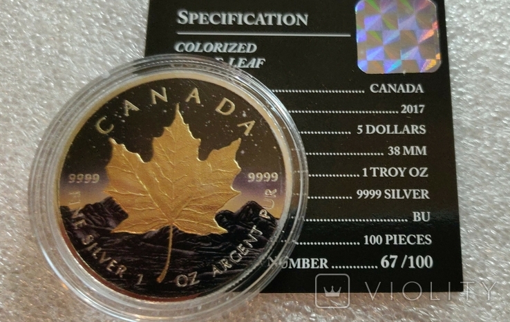 1 Доллар Канада 2017 г. серия "Звездная Ночь" серебро,позолота Тираж 100 шт., photo number 3
