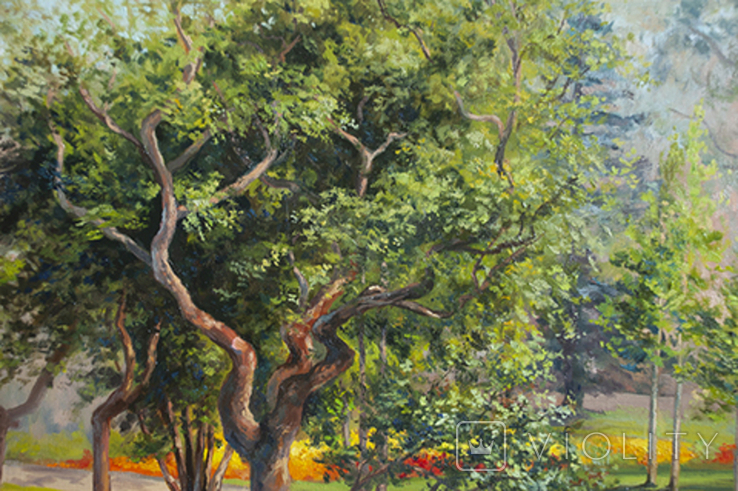 Painting "Old Plane Tree", 60x50, landscape, park, Kharkiv, impressionism., photo number 4