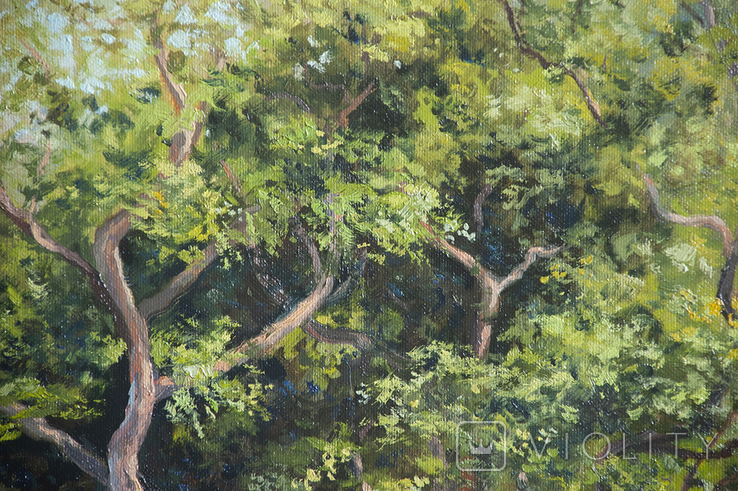 Painting "Old Plane Tree", 60x50, landscape, park, Kharkiv, impressionism., photo number 5