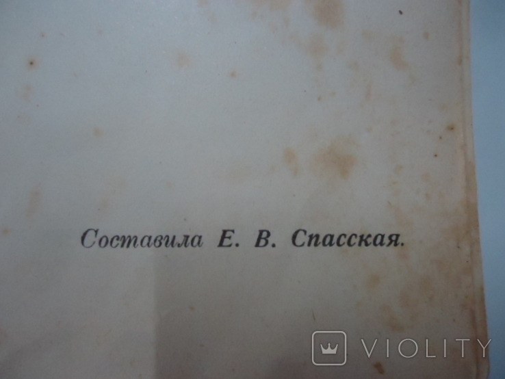 Е.В.Спасская.Вегетарианский стол.1908, фото №4