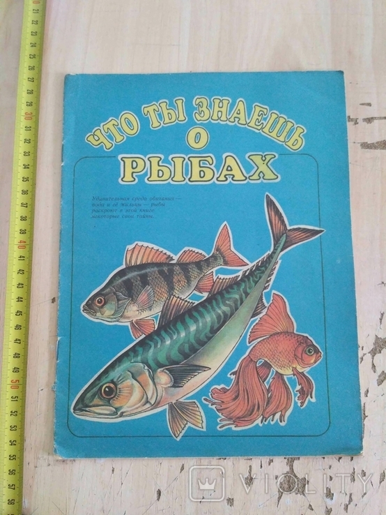 Что ты знаешь о рыбах 1990р.
