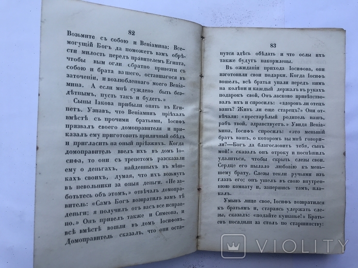 Анна Зонтаг. Священная история для детей. 1860г., фото №9