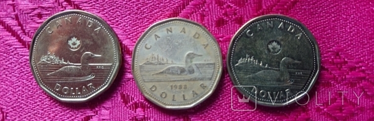3 монеты, канадский доллар, фото №2