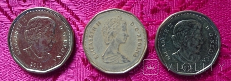 3 монеты, канадский доллар, фото №4