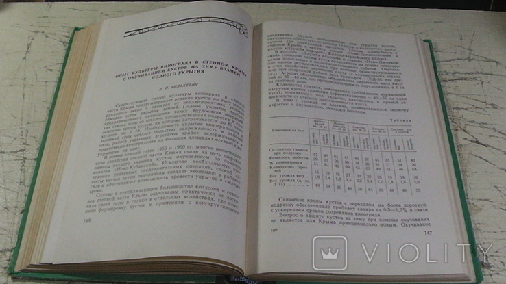 Вопросы виноградарства и виноделия. 1962 г., фото №6