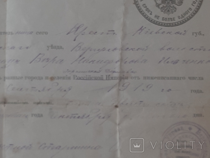 Паспорт Української держави наІмперському бланку, фото №4
