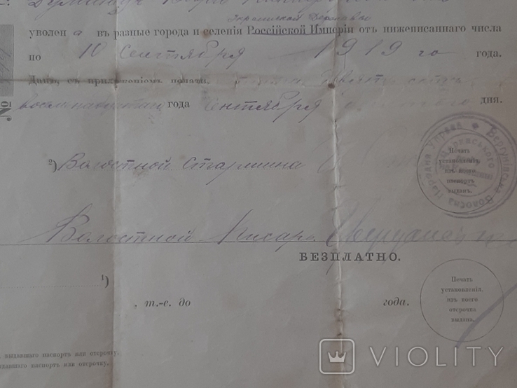 Паспорт Української держави наІмперському бланку, numer zdjęcia 8