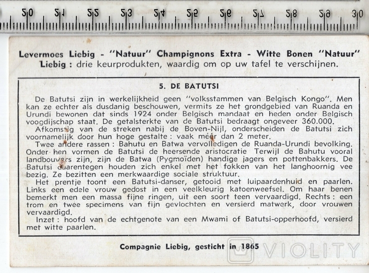 Liebig, карточка №5 серия "Племена Бельгийского Конго". 1952 год.(3), фото №3