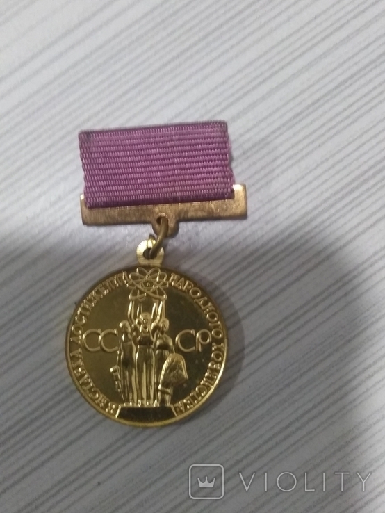 Медаль за успехи в народном хозяйстве ссср, фото №2
