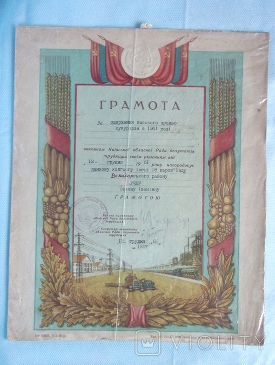 Похвальный лист, Грамота, фото №6