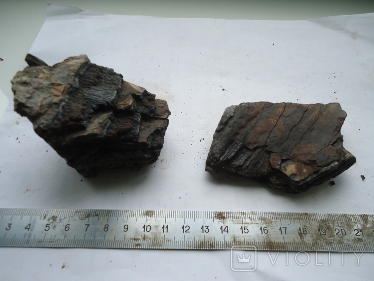 Fragments of fossilized mammoth teeth, photo number 7