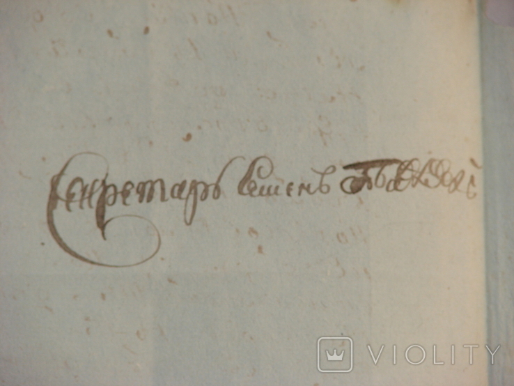 Указ её императорского величества 1795 г, фото №5
