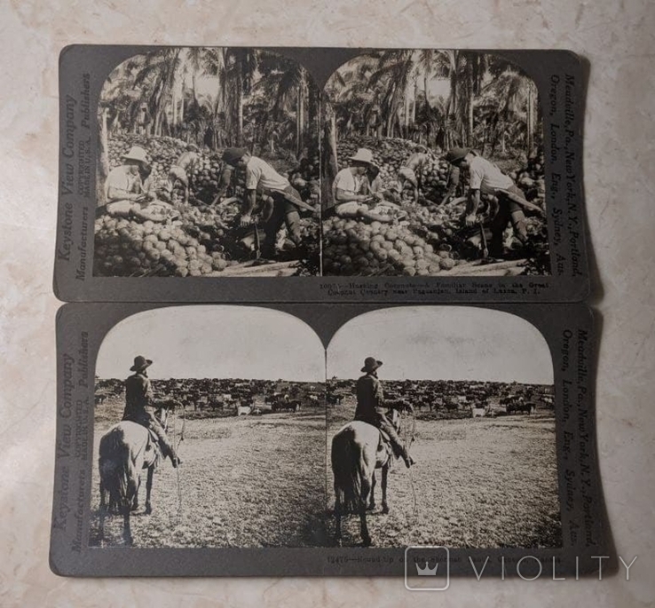 Стереоскоп и открытки-слайды стереопары, 1904, фото №10